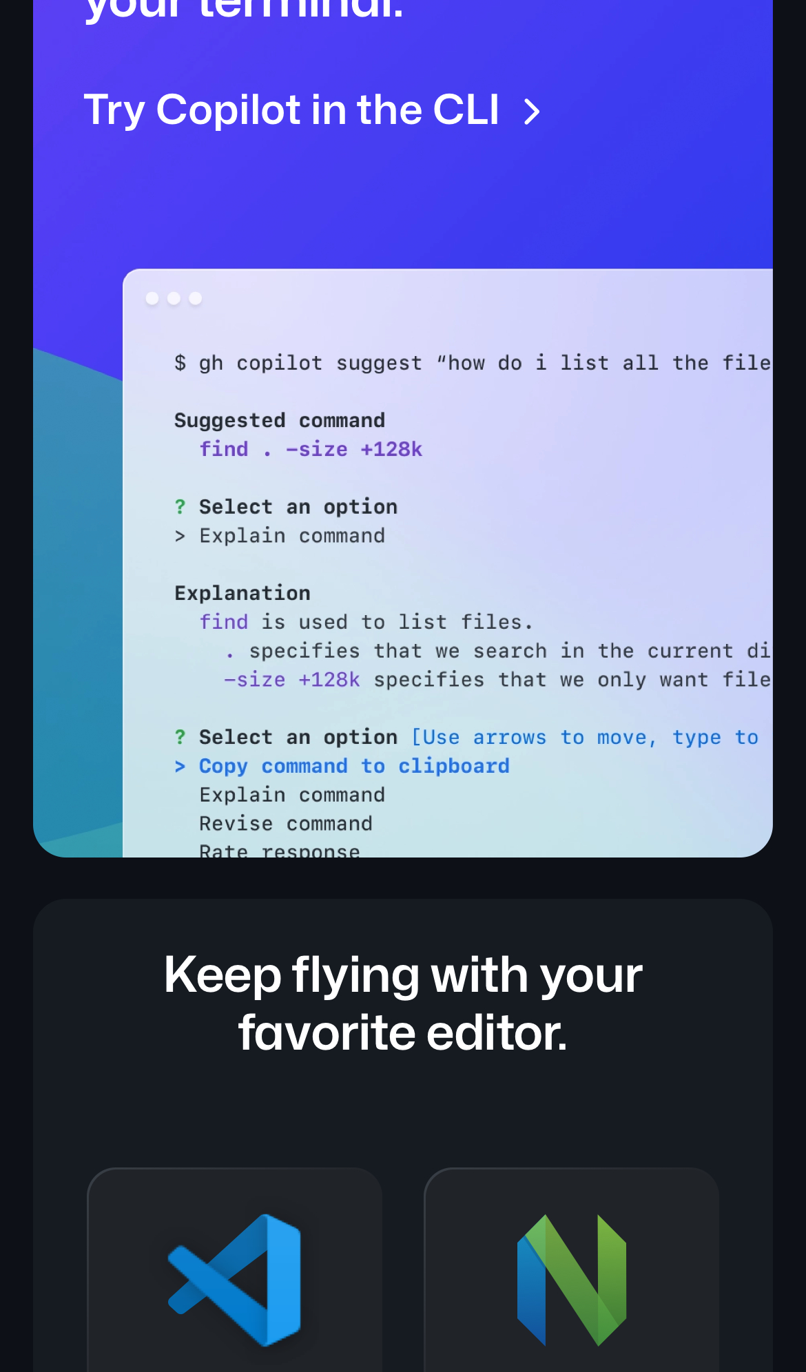 github copilot interface, mobile light stack screenshot